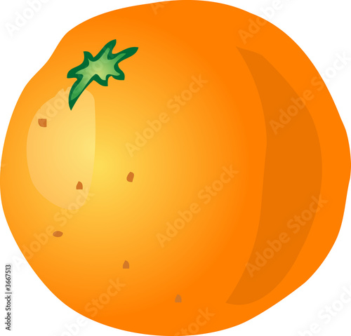 Orange sketch