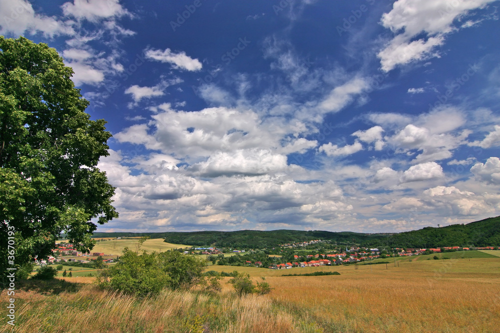 amazing summer landscape - czech republic