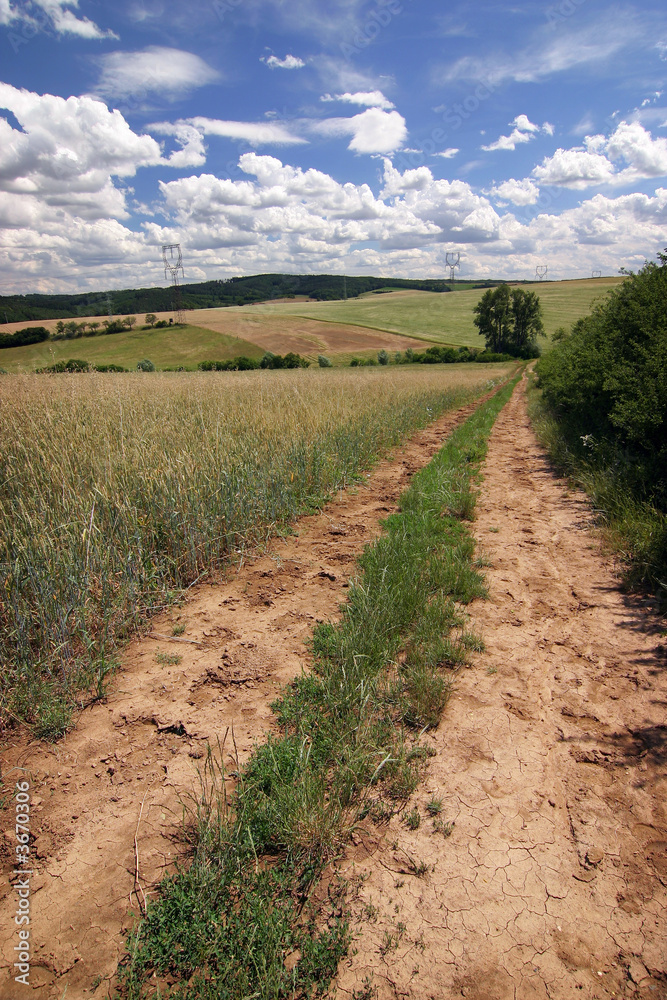 road through summer countryside - czech republic