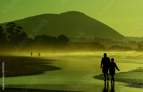 Couple walking in the beach