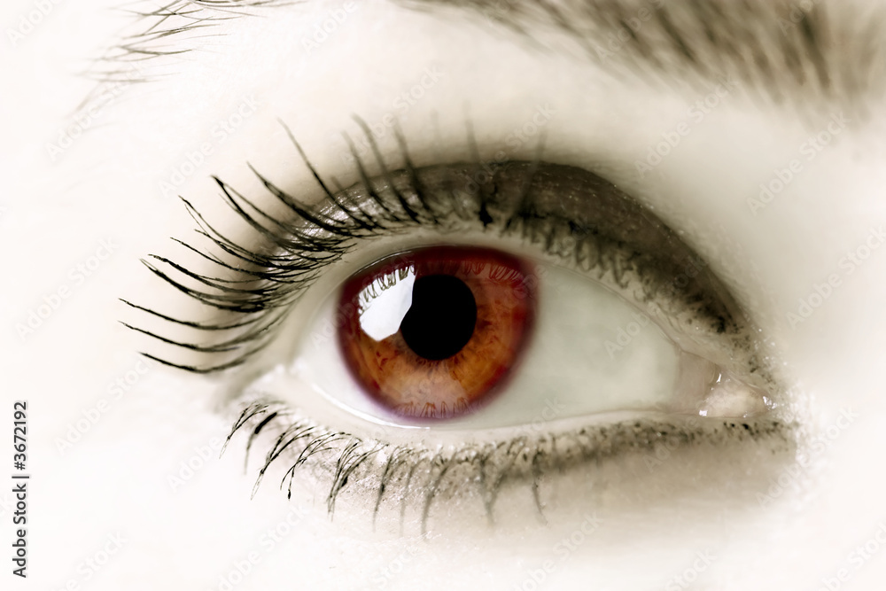Brown Eyes Brown Eyes