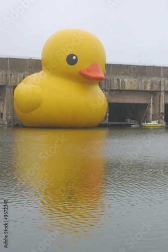 canard
