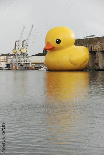 canard