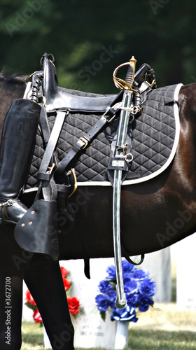 Military-Riderless Horse