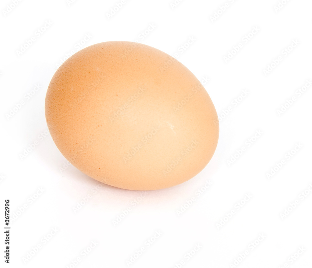 Brown egg on white background Brown egg on white background