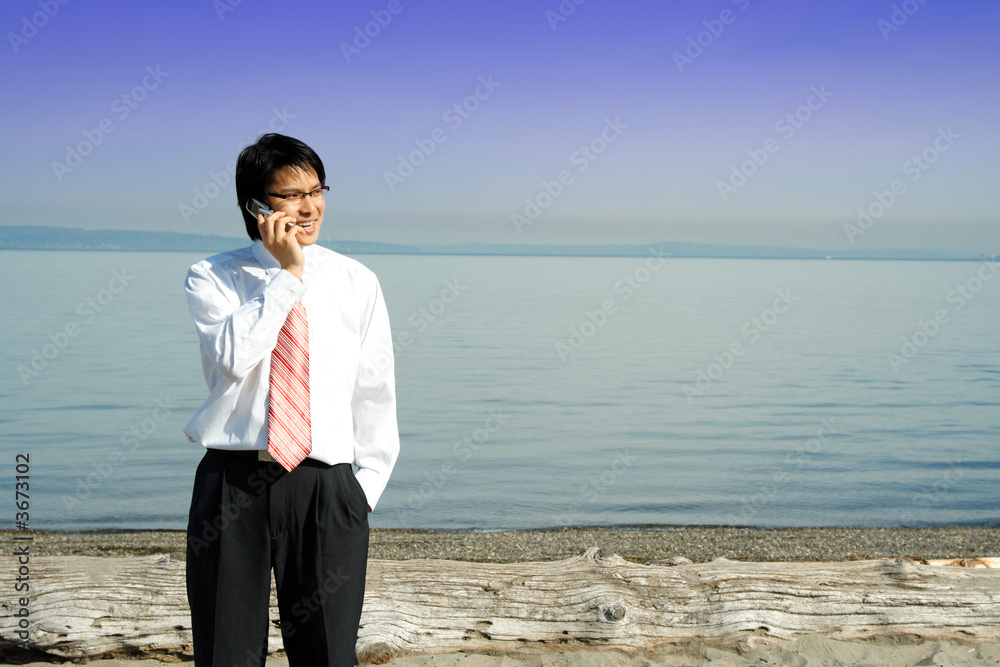 A businessman talking on the cell phone at the beach
