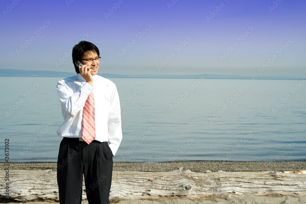 A businessman talking on the cell phone at the beach A businessman talking on the cell phone at the beach