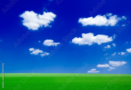 The green field and white clouds.