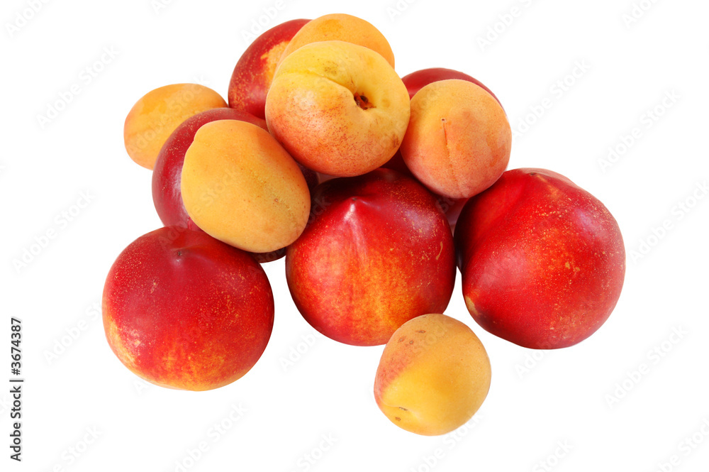 fresh natural nectarines and apricots