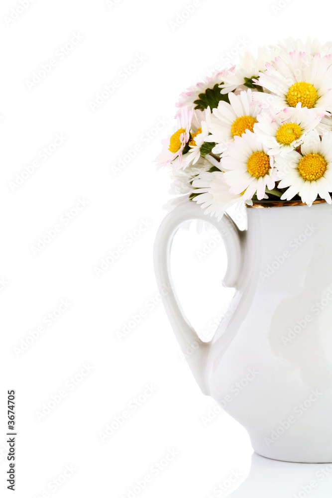 Fototapeta premium Bouquet of fresh wild daisies in vase isolated on white.