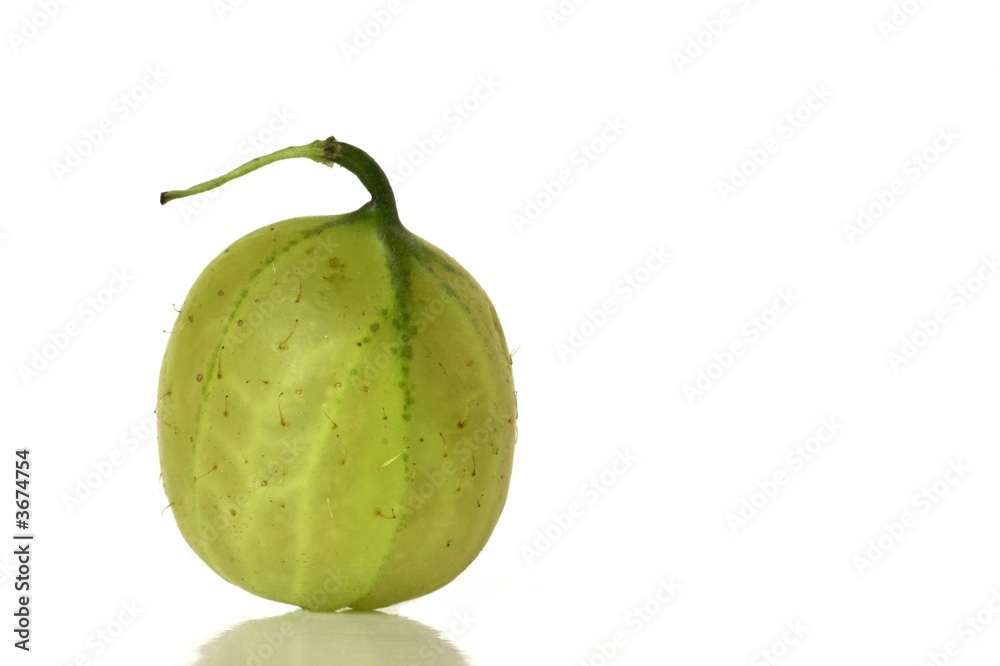 Single Gooseberry on a White Background Single Gooseberry on a White Background