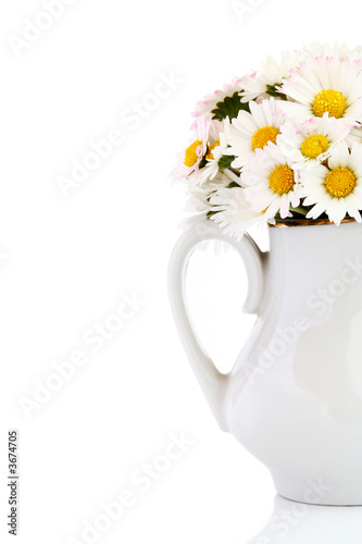 Bouquet of fresh wild daisies in vase isolated on white.