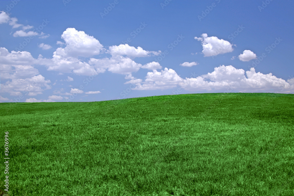 Green grass and blue sky background with copy space Green grass and blue sky background with copy space