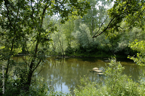 Fototapeta parco ticino2