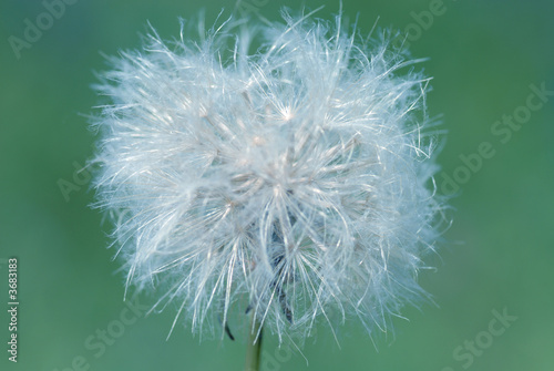 Cheveux d'ange