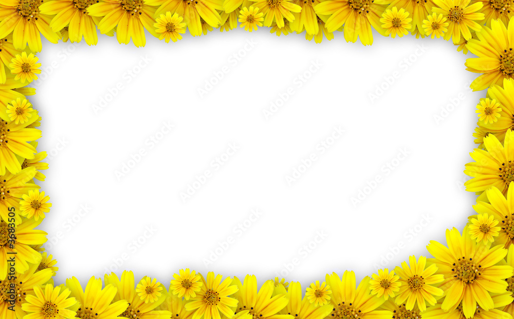Naklejka premium Flower frame - coreopsis lanceolata used for floral frame
