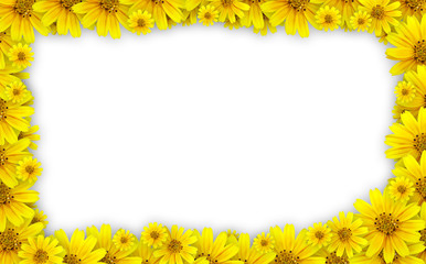 Flower frame - coreopsis lanceolata used for floral frame