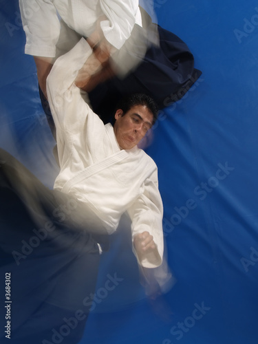 Aikido Moves