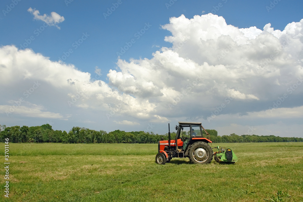Grass mowing Grass mowing