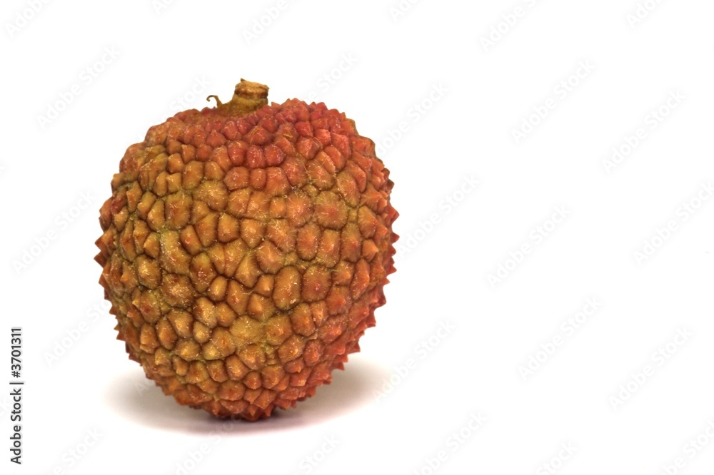 Single Lychee Fruit Macro Single Lychee Fruit Macro