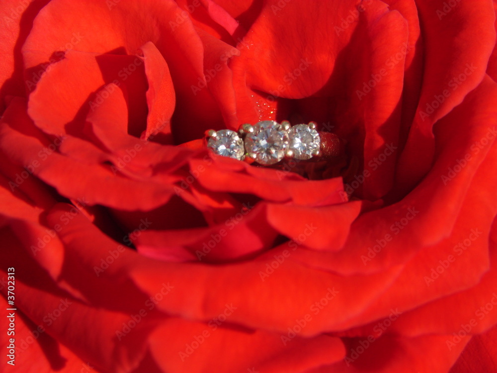 Diamond Rose Diamond Rose