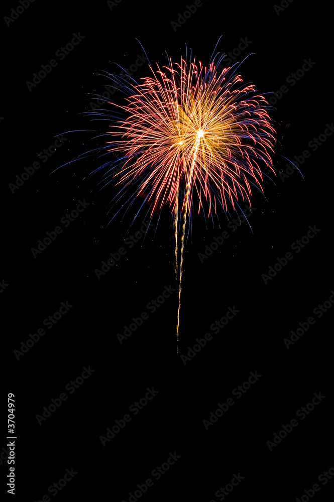 Holiday display of fireworks in the night sky Holiday display of fireworks in the night sky