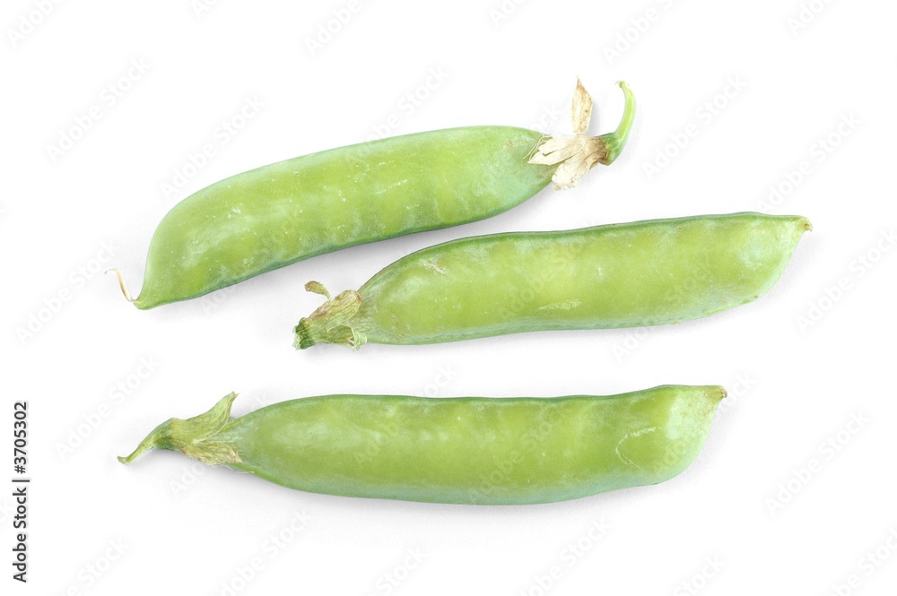 Pea