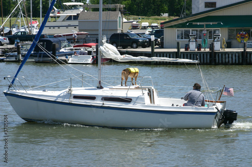 Man and his dog on sailboat