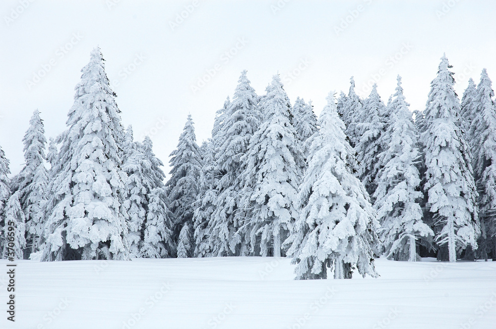 Obraz premium Winterlandschaft 1