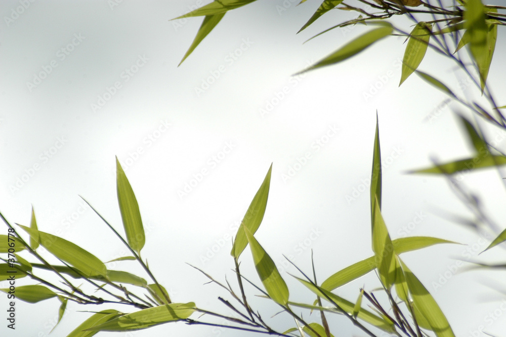 Naklejka premium marco-01