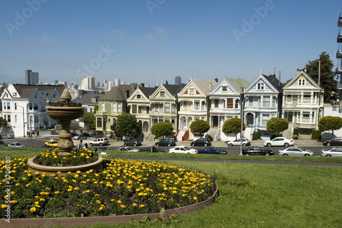 Photography Seven Sisters with fountain and Yellow Flowers