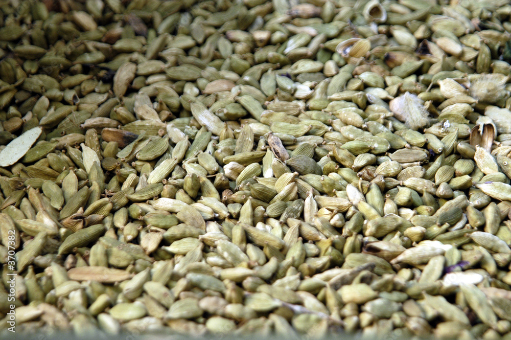 cardamomo-02 cardamomo-02