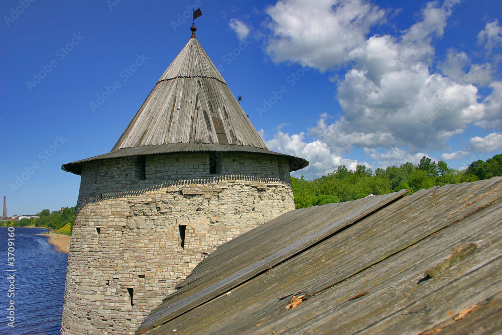 Fototapeta premium medieval castle and green trees under blue sky with clouds
