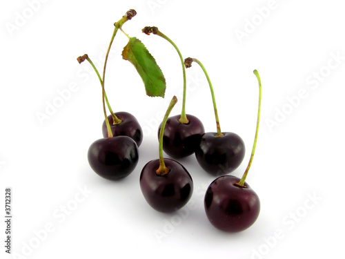 Ripe cherries. A close up. It is isolated on a white background.