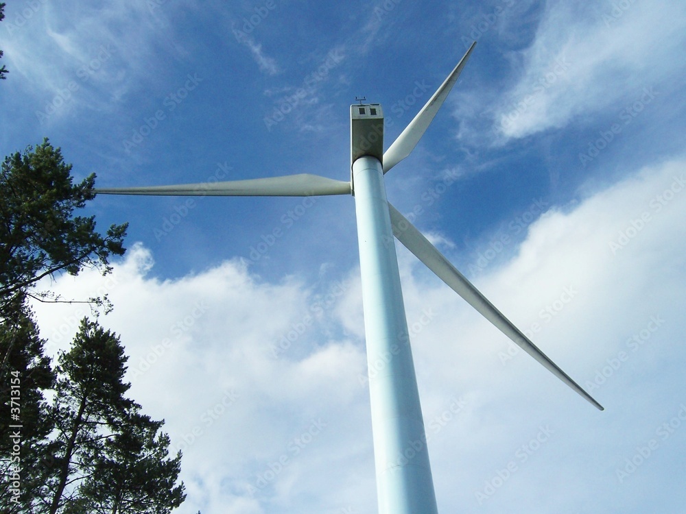 Molinos eólicos11