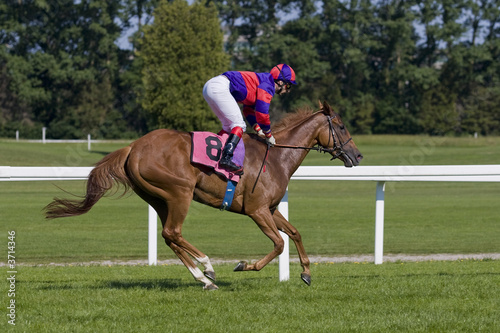 A horse and jockey in a flats race © Zoe