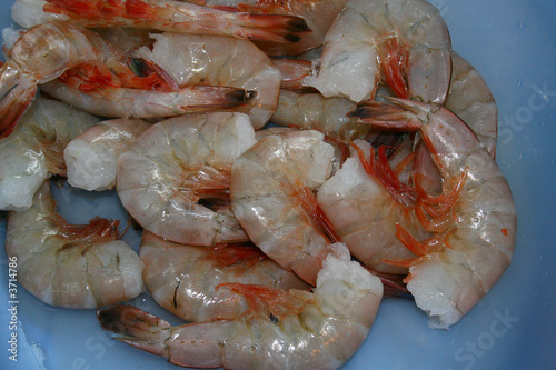 Scrumptious Shrimp Ready for Cooking
