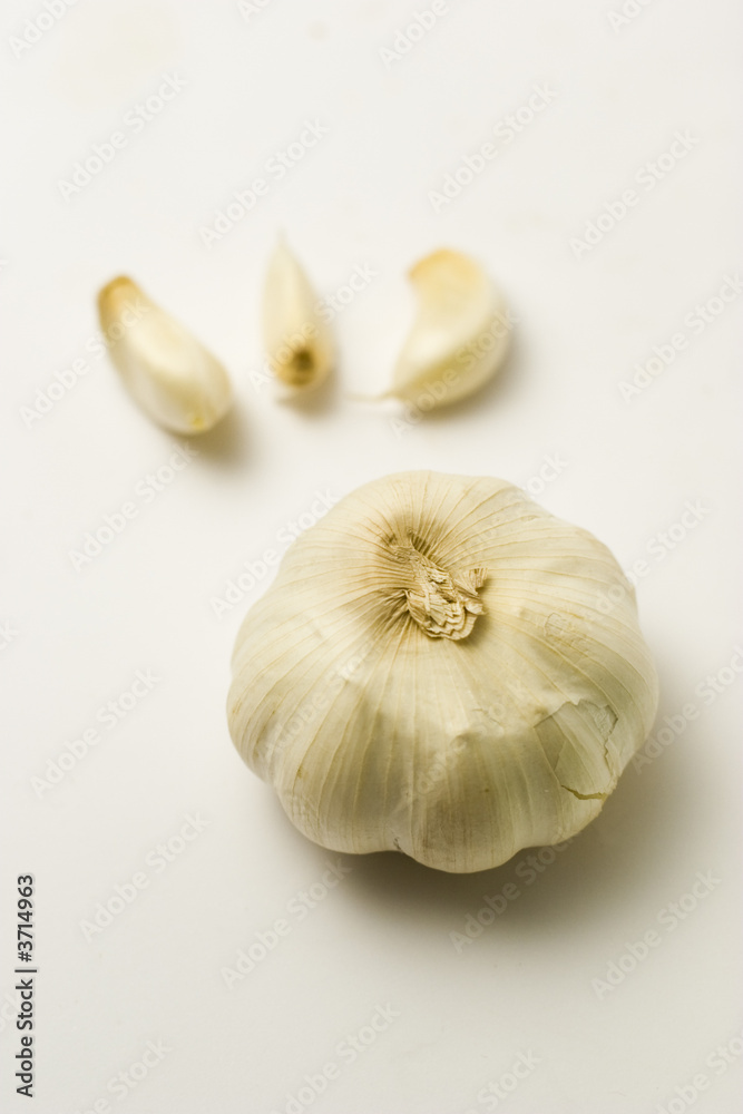 Garlic on White