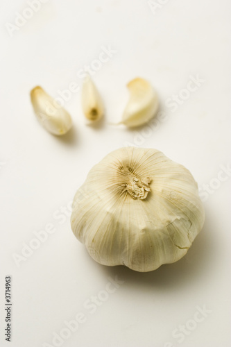 Garlic on White