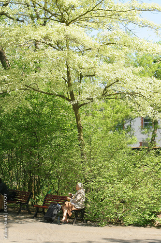Femme dans un jardin © Francis Lempérière