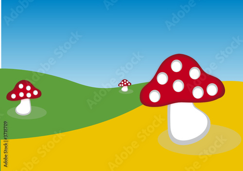 FUNGHI