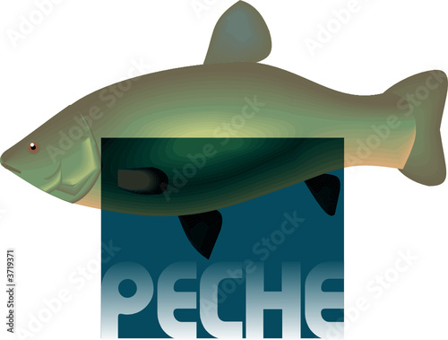 pêche