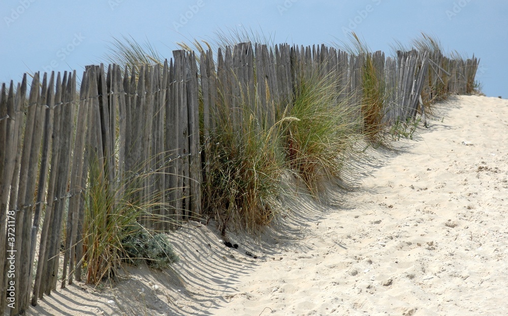 protection de la dune
