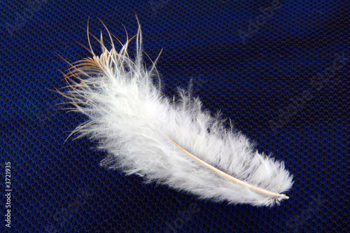 small feather close-up on a textured background