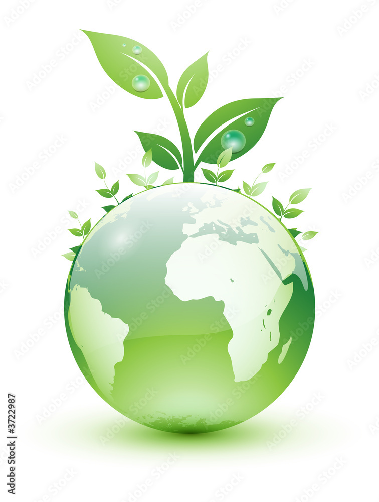 Terre à feuilles Terre à feuilles