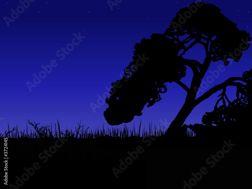 African Sunset