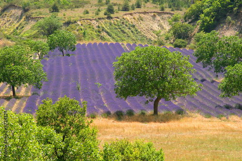 paesaggio 006 photo