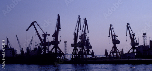 Cranes at night