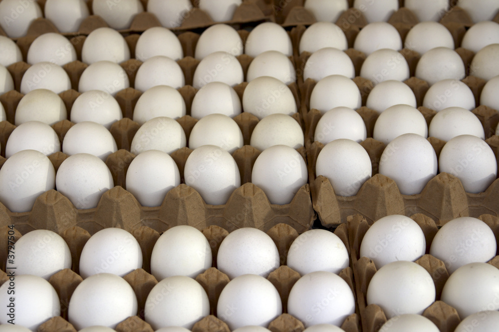 French Market eggs for sale in Paris France French Market eggs for sale in Paris France