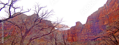 wadi sorrunded by mountains in zion park photo